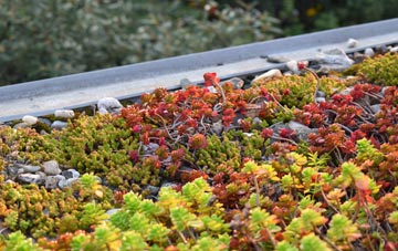 the cost of Teston green roof installation