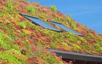 Teston living roof systems