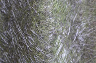 Teston fibreglass roof work